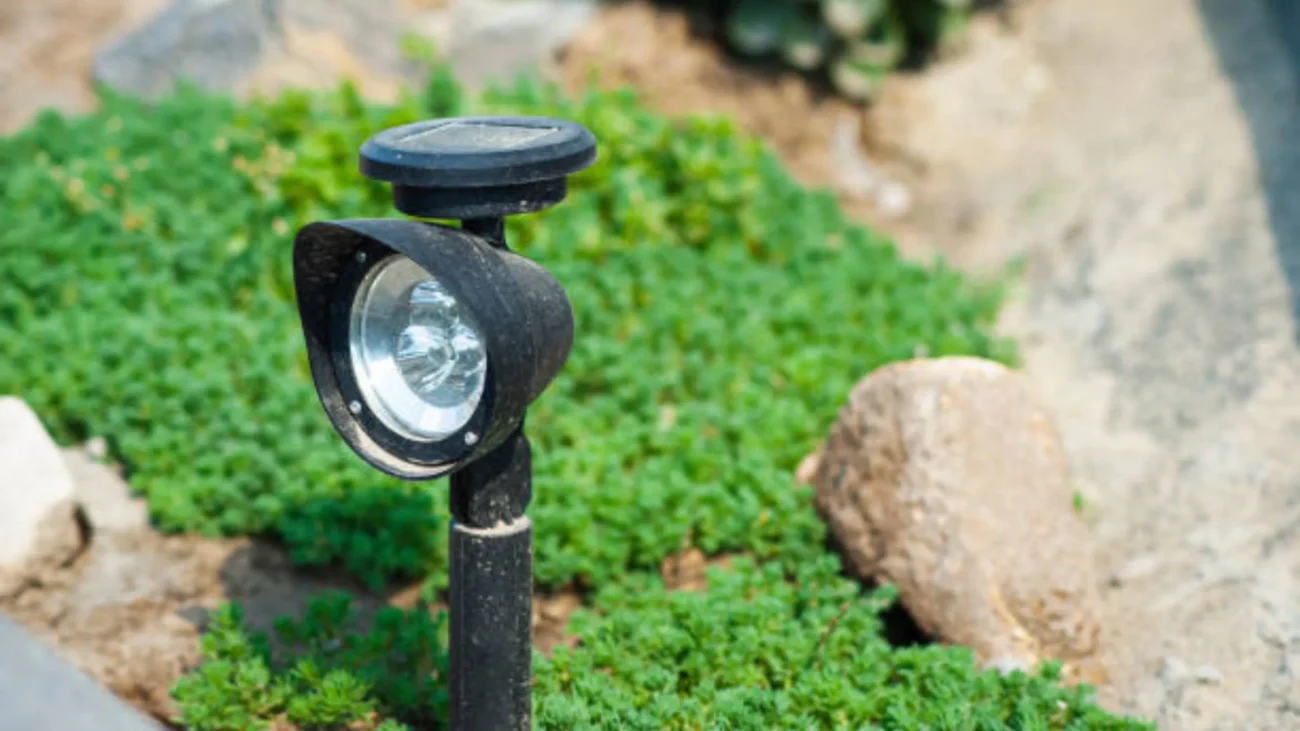 Factors to Consider When Choosing the Best Outdoor Solar Motion Sensor Light