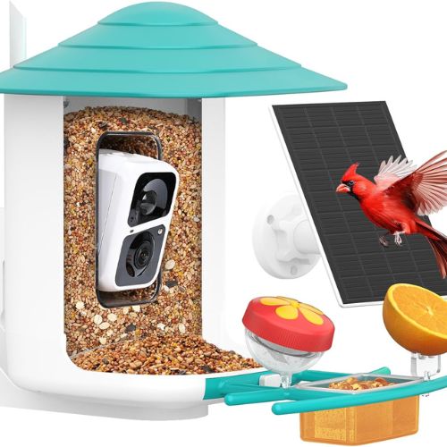 Birdsnap® TUC - Smart Bird Feeder with Camera and Solar Panel