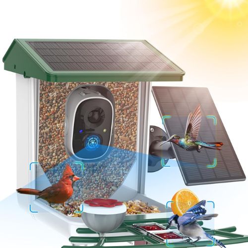 MaxiViz Bird Feeder with Camera, Dual Solar Panels