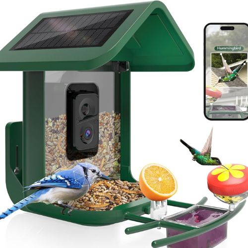 Bird Feeder with Camera - 1080P HD, Solar Powered, AI Recognition