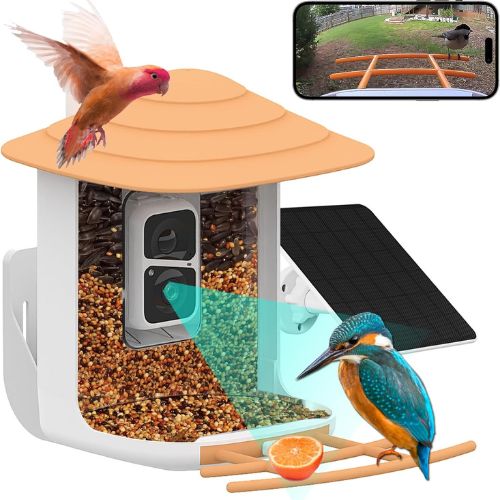 Smart Bird Feeder with Camera - AI Bird Identification