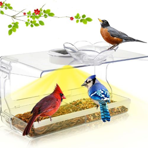 Clear Window Bird Feeder with Solar Light