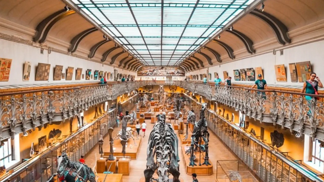 Educational Programs and Opportunities at AMNH